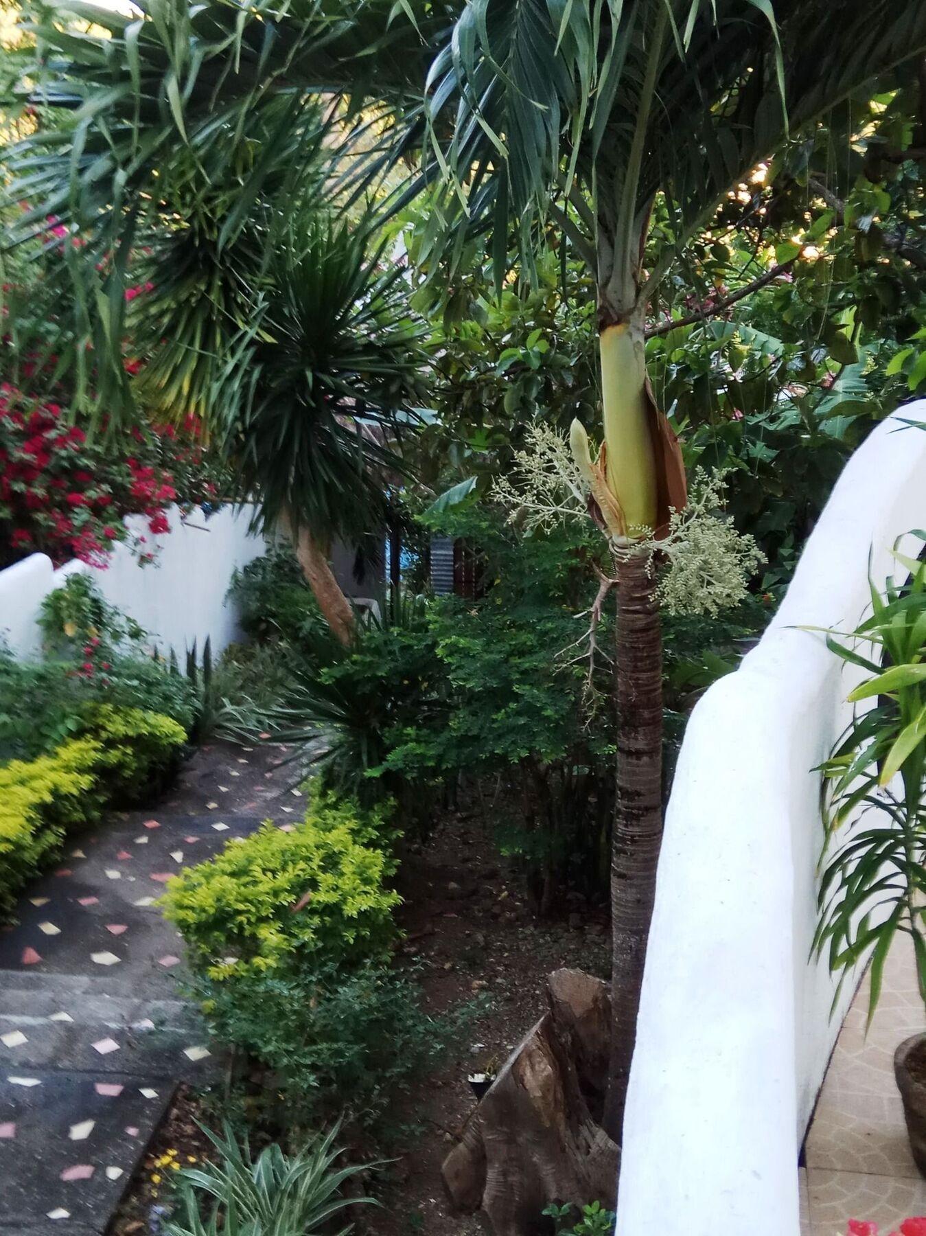 Resort Aquarius Terraces Boutique